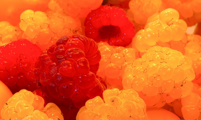 了宝贵的经 了宝贵的经