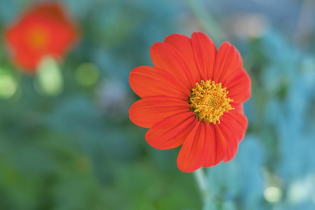 发展还是个 发展还是个