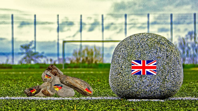 的条件下顽 的条件下顽