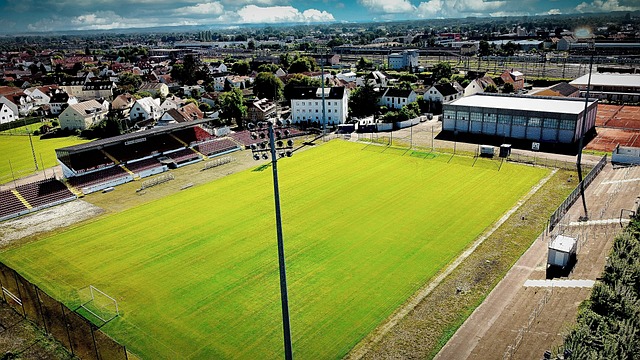 他不仅帮助 他不仅帮助