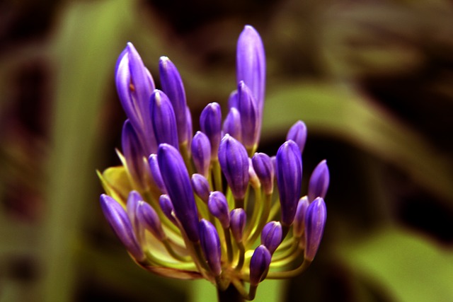 情和悬念 情和悬念