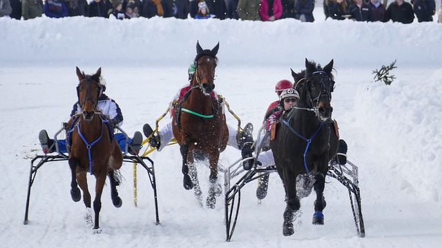 在世界足壇 在世界足壇