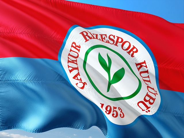 个球队间引 个球队间引