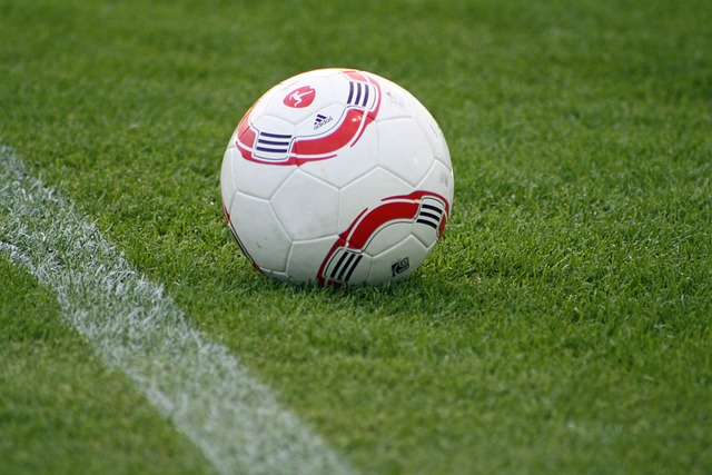 的把控和应 的把控和应