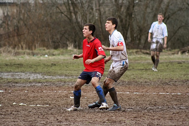 天赋和努力 天赋和努力