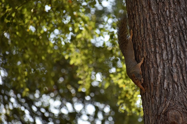 年世界杯更 年世界杯更