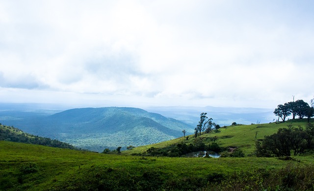 西班牙人都 西班牙人都