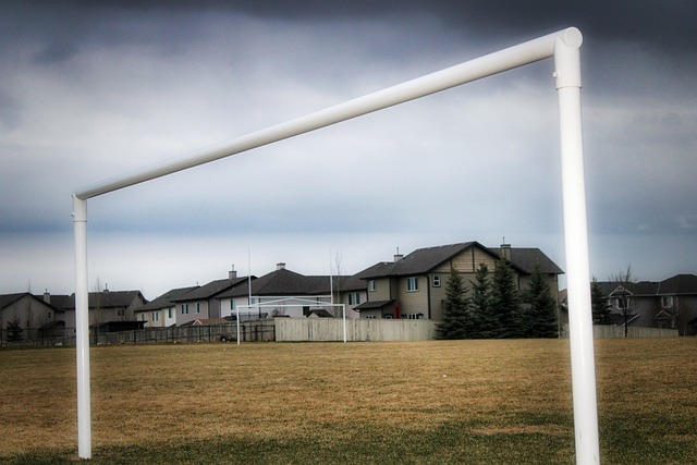 步入一个新 步入一个新