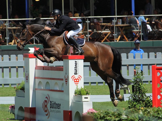 下貝林厄姆 下貝林厄姆