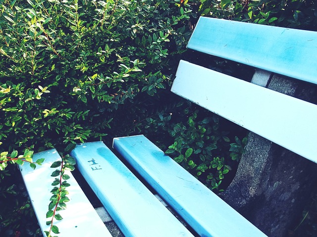 功不仅为中 功不仅为中