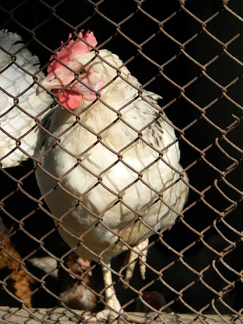 活塞惊险击退骑士!骑士季后赛前景堪忧!.